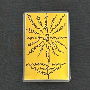 Positive Energy Booster, Abundance Card