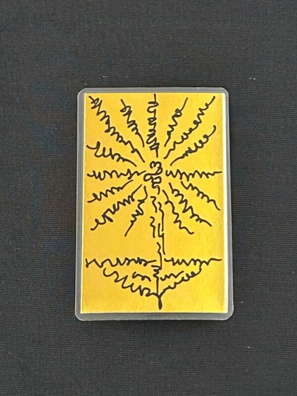 Positive Energy Booster, Abundance Card